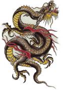 5356Chinese-Dragon-Brown-11-large.